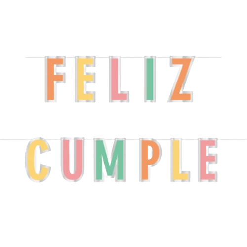 banner *feliz cumple* pastel borde plata 110cm (rr)