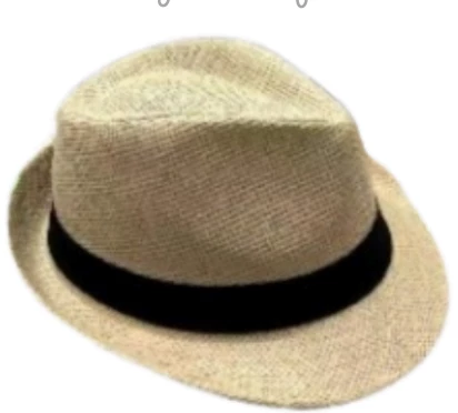 sombrero panama beige (kapps)