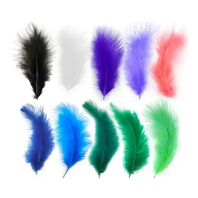 paquete plumas x100u (la-yunsa) 