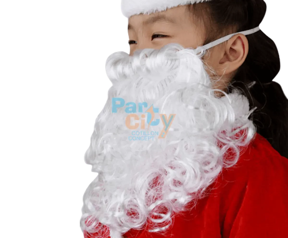 barba papa noel (partyc)