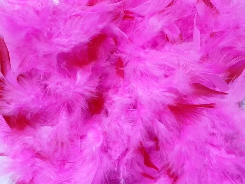 boa plumas (qt-ya) fucsia